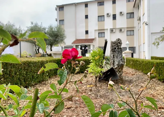 Mateus ファティマ